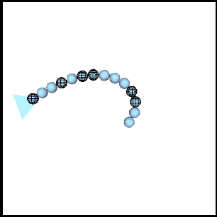 chenillard2.png [3222 octets]